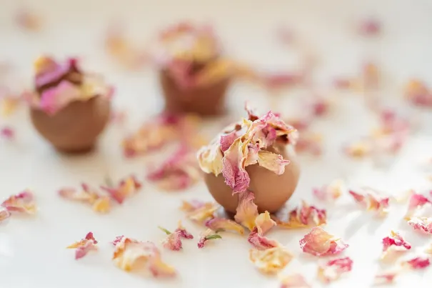 Andromeda Casino Android/iOS rakendus